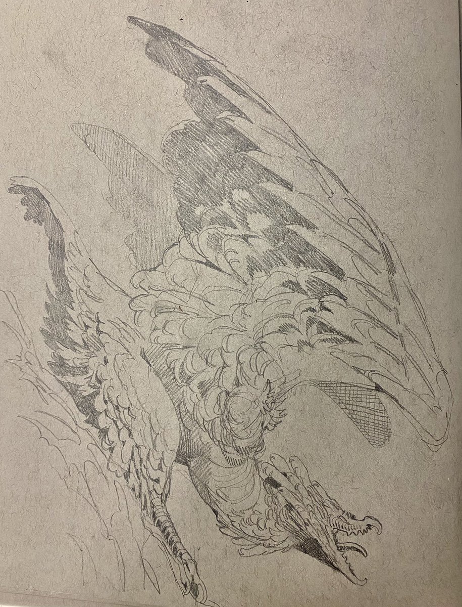 ⭑ 𝔸𝕕𝕠𝕠𝕜 ⭑ tweet media