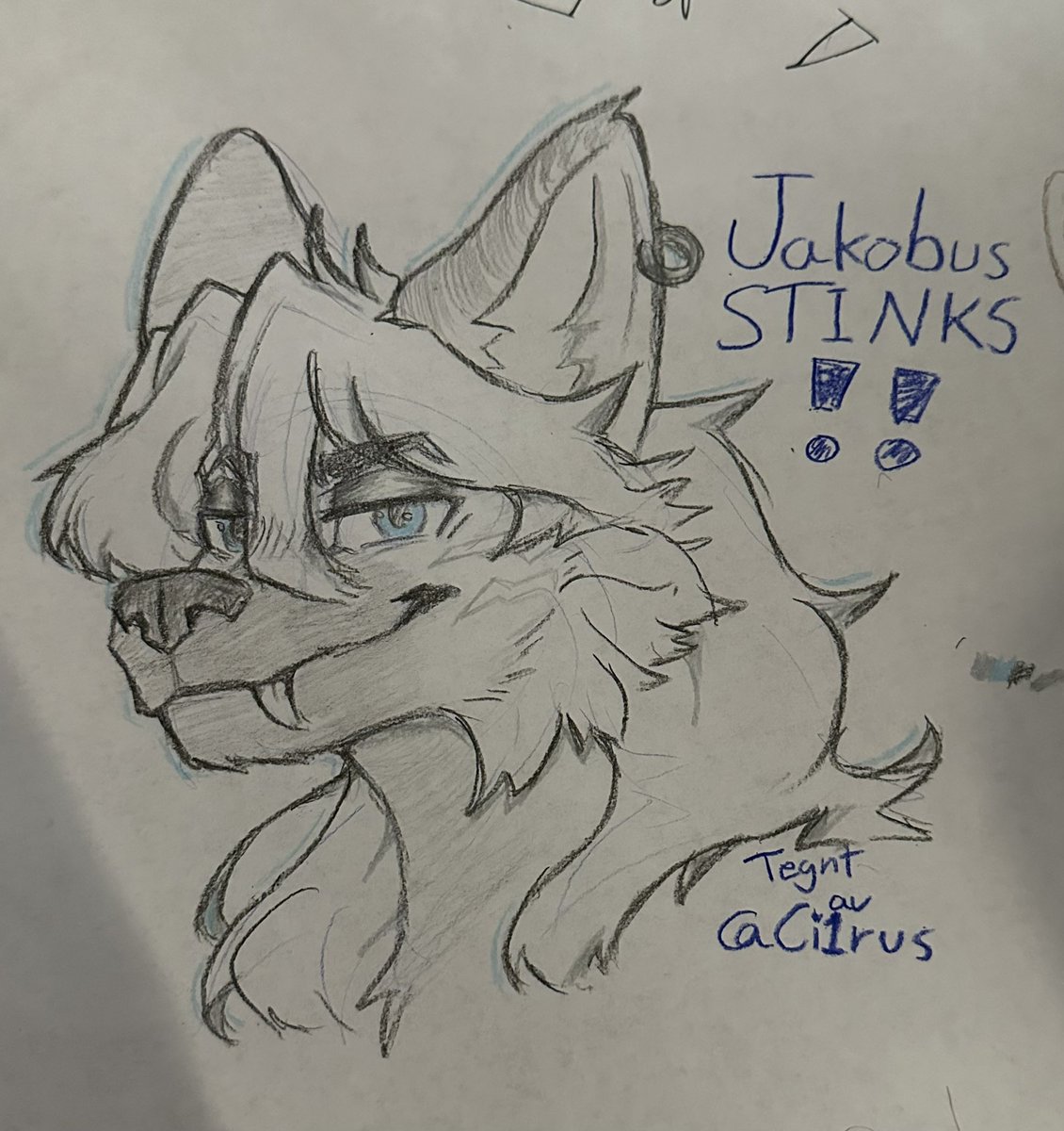 Can now confirm <a href="/HyenaKobus/">James Jamesofferson 🏴󠁧󠁢󠁳󠁣󠁴󠁿</a> 
STINKS
