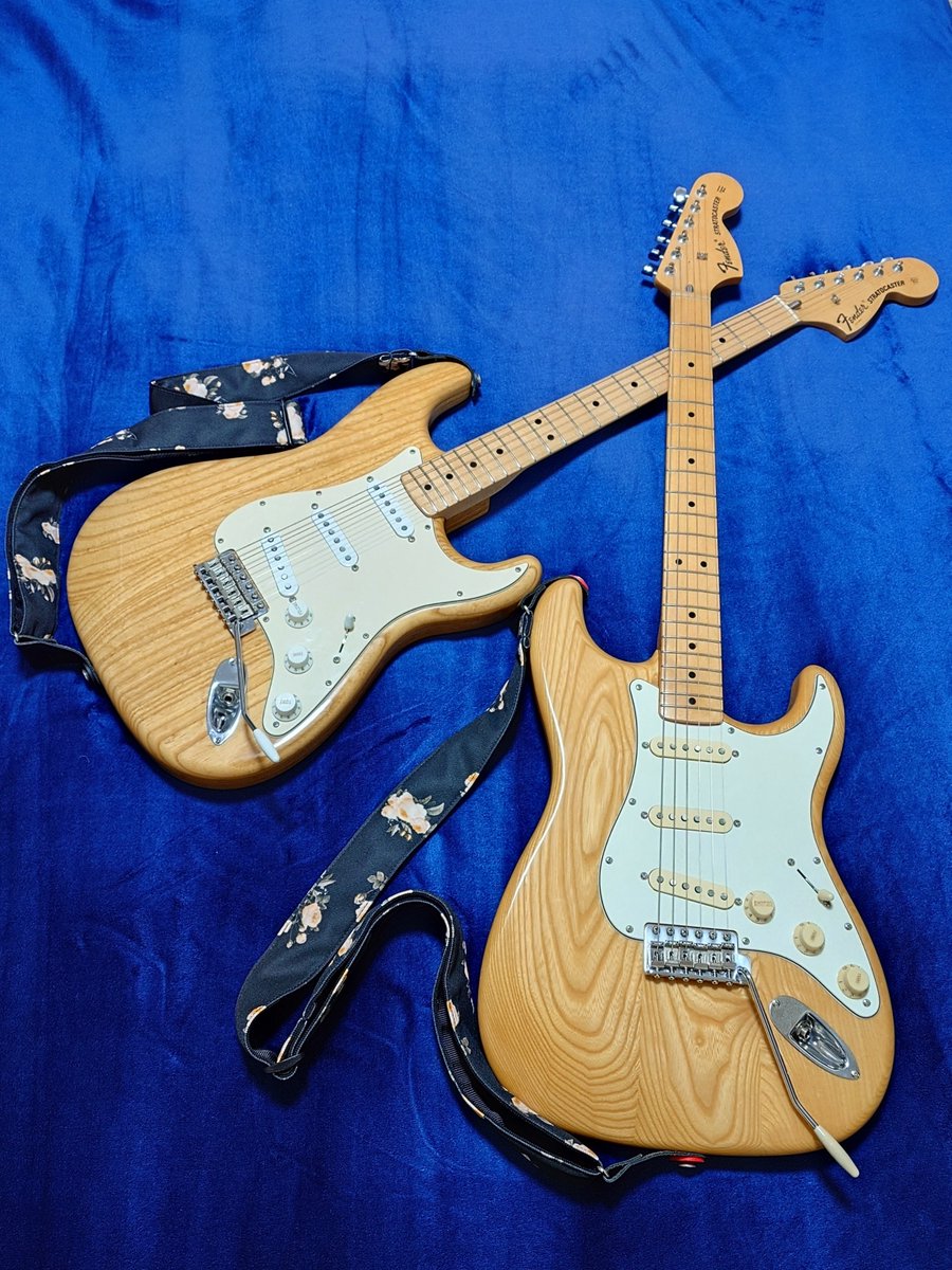 pagachanogds's tweet photo. #FenderFanMail
@Fender 

🫡🌳 https://t.co/gs4wkS8lk3