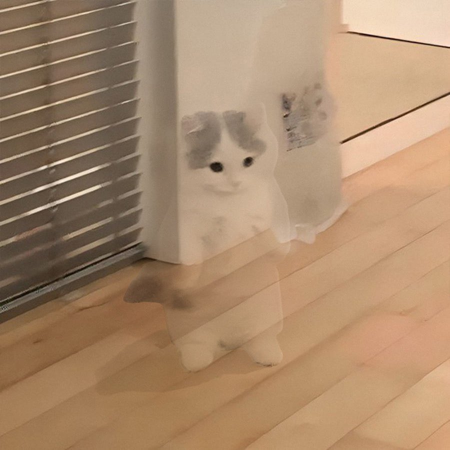 michi (@michionsolana) on Twitter photo 