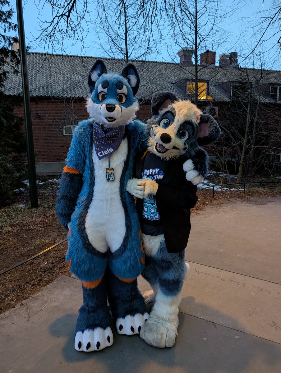 Seimei1986's tweet photo. And another Cuties <3 @LittleAlphaPup @Trusty_Fox https://t.co/2ofsPeGI2A