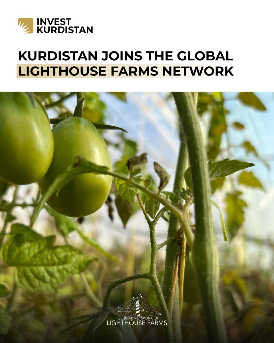 Invest Kurdistan tweet media