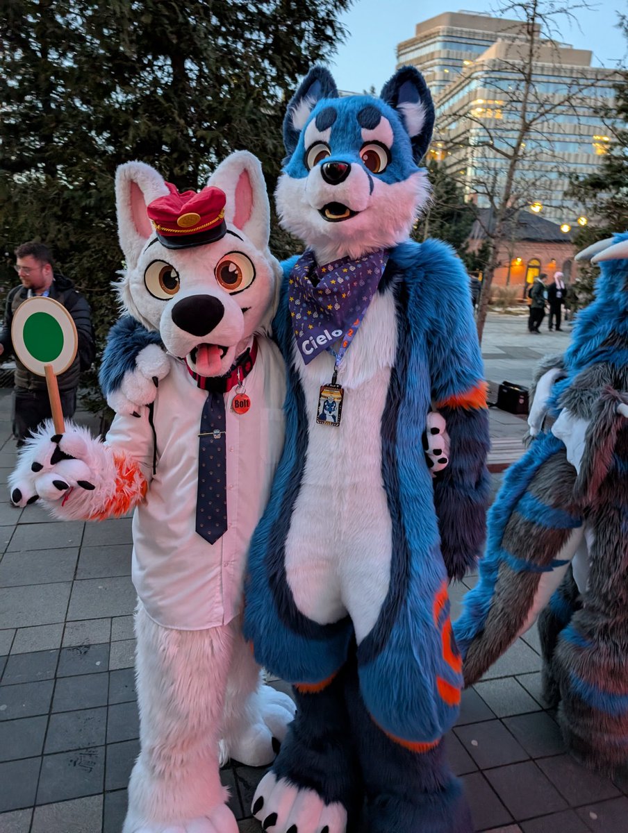 Seimei1986's tweet photo. Such cuties @B_railway_dog @Trusty_Fox #NordicFuzzCon https://t.co/yehGBNfEFp