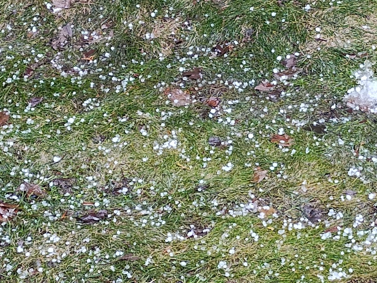 Dan the man wx tweet media