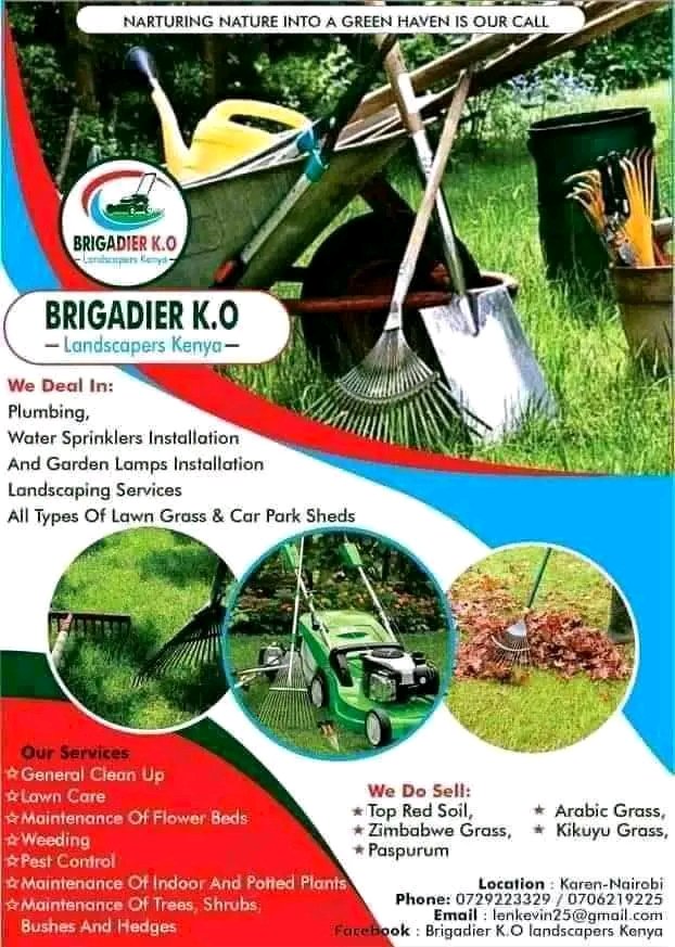 Brigadier_Kenya's tweet photo. Green Pemba Grass available in plenty 

0729223329
Location; #Karen, Nairobi, Kenya

Delivery done countrywide 
Free delivery within Nairobi, Kiambu, Kajiado and Machakos Counties https://t.co/OoLqUFEeh1