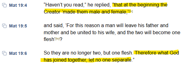 ChainLink.Ninja tweet media
