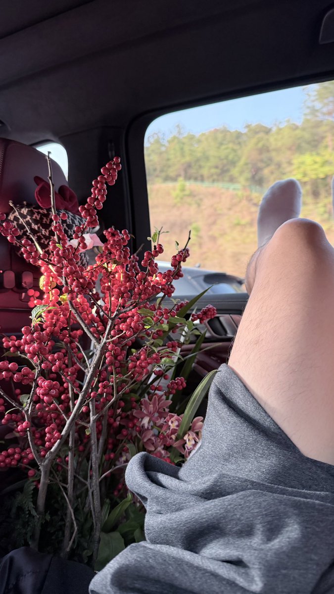 i_yyang0907's tweet photo. 今年的年可以穿短裤 https://t.co/31dprhmb8d