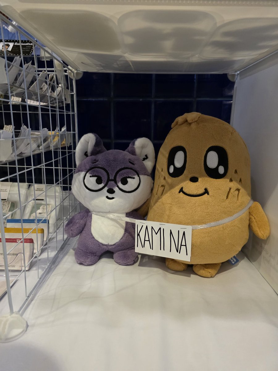 Xab 🌟 | 🐶 🐱 🦌 | 🛋 tweet media