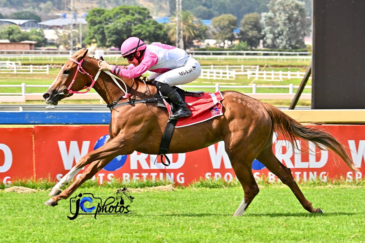 Mickaëlle Michel - ミカエルミシェル tweet media