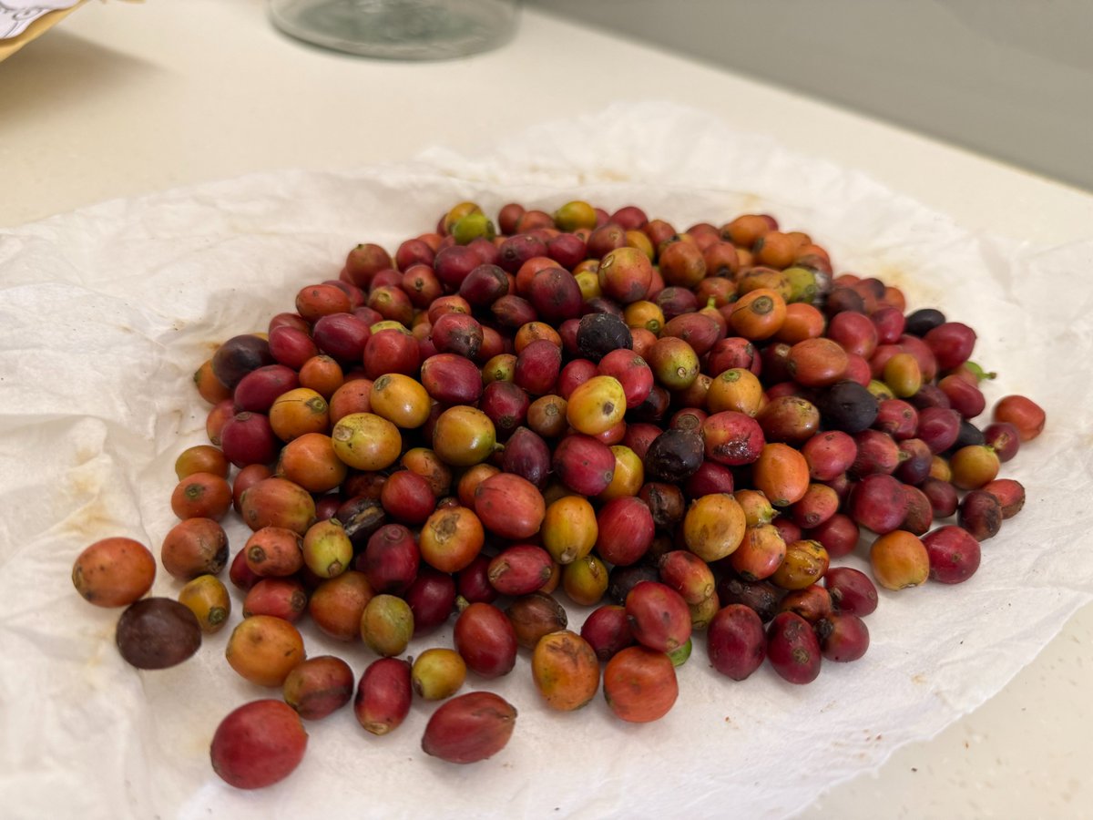 Angelo Izama tweet media