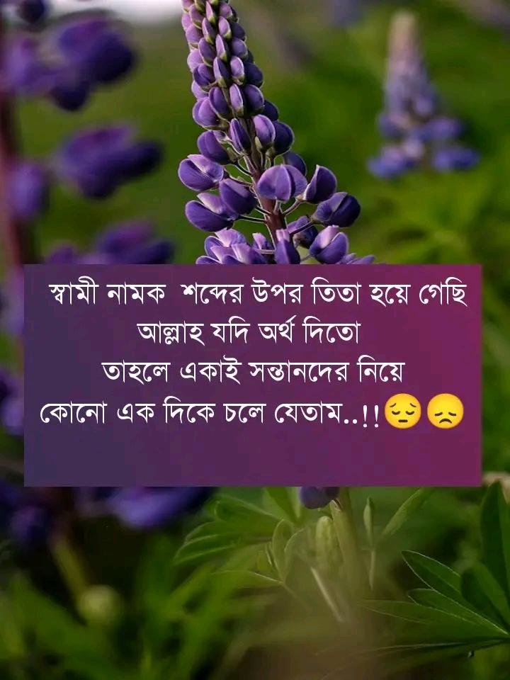 আসলেই তাই