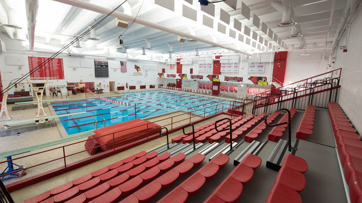 SC Swim Team tweet media