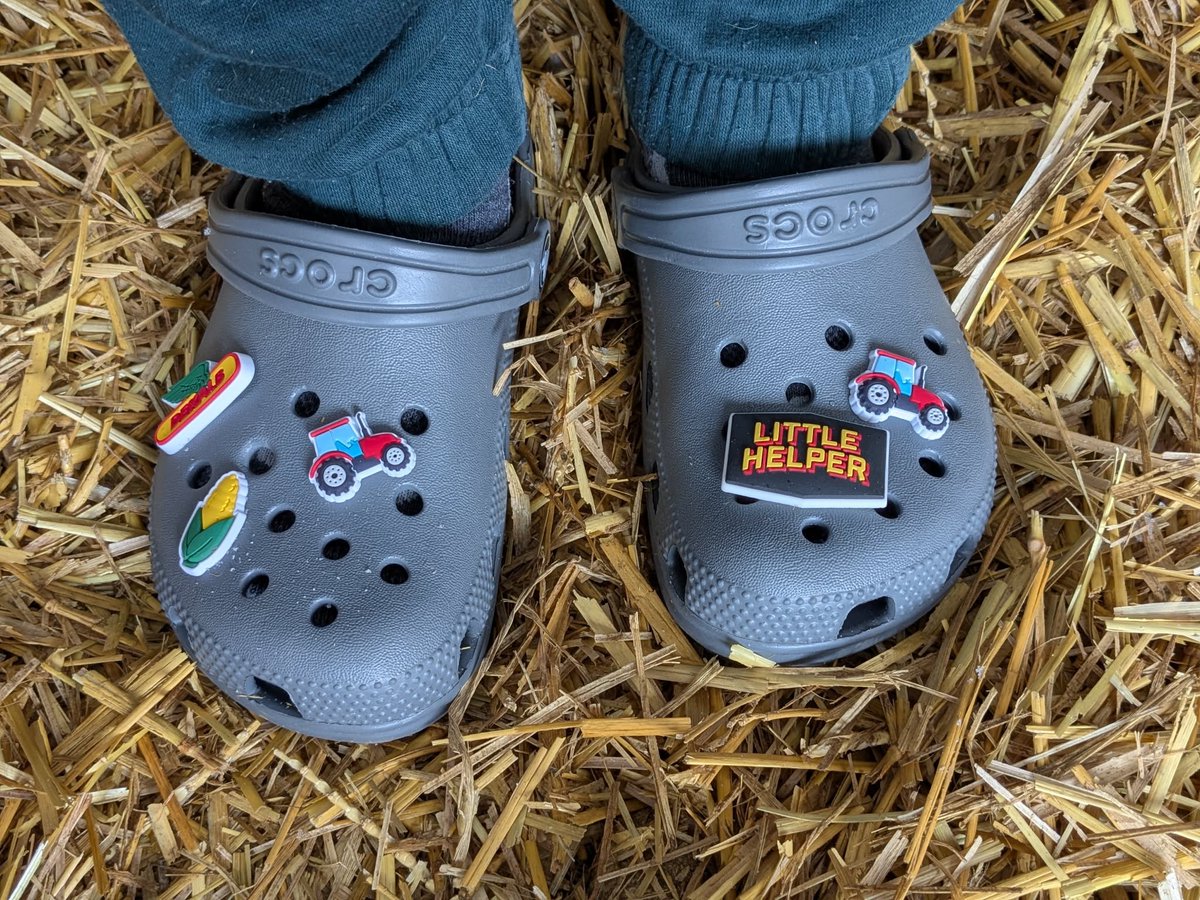 DEKALB Canada tweet media