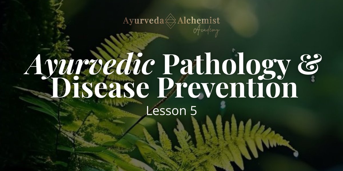jasmine_grace's tweet photo. What I appreciate about Ayurveda is its preventative lens.

It notices an imbalance before a disease. https://t.co/D5zpgXBBHx