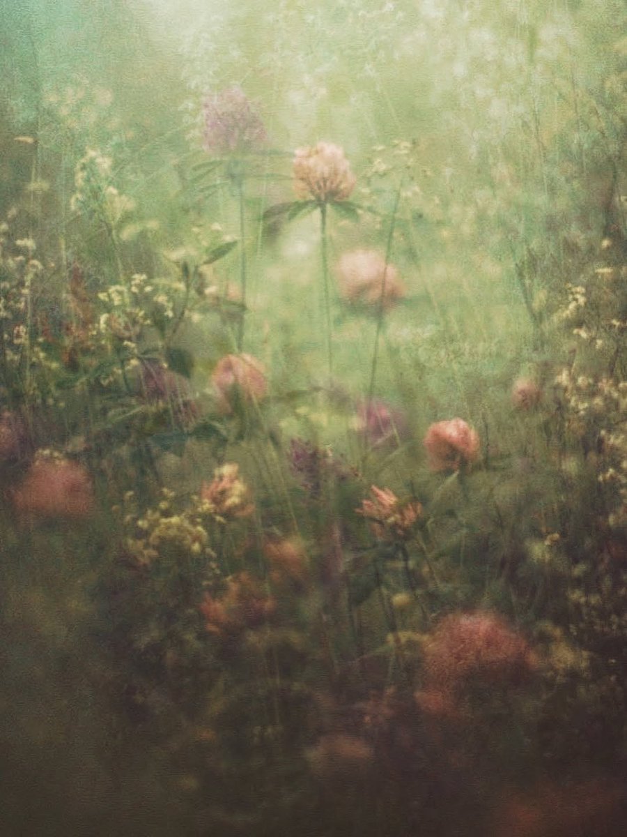 “I had not yet understood the superior 
beauty of happiness.”

~ André Gide, 𝐽𝑜𝑢𝑟𝑛𝑎𝑙𝑠 𝑜𝑓 𝐴𝑛𝑑𝑟𝑒́ 𝐺𝑖𝑑𝑒
·

© Sachiko