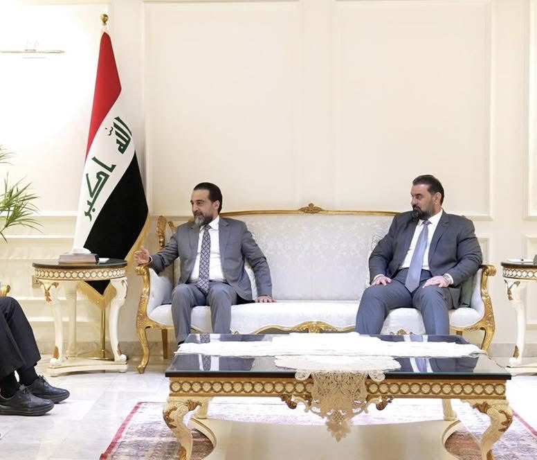 حلبوسي 
 تمخض الجبل عن فأرة والنيل عن بعوضة
وهذا المثل العربي يعني أن الجبل الكبير يخرج من أحد شقوقه فأر صغير، فكأن الجبل العظيم أنجب هذا الفأر الصغير ! وهذا المثل يُضرب لمن يـُـتوقع منه الكثير لكنه يأتي بالشئ القليل والحقير الذي لا يتناسب مع حجمه الحقيقي أو المتوهم . مرفوض رفضآ