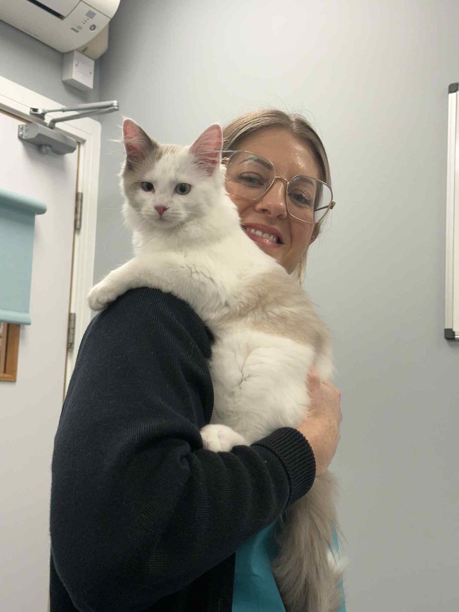 St Kitts Veterinary Group tweet media