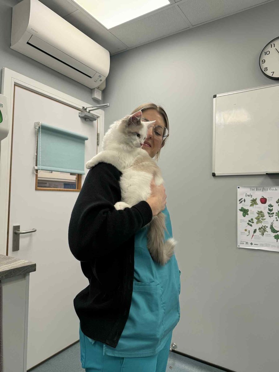 St Kitts Veterinary Group tweet media