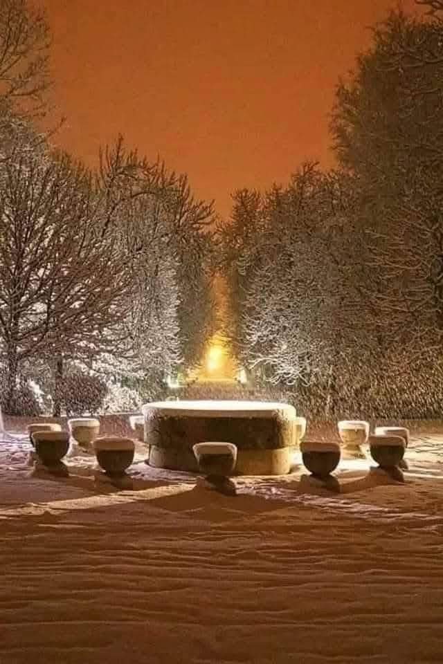 În ceață, pe străzile vechi
Din olteneasca vatră,
Gânduri și inimi, perechi,
Ne înălțăm prin piatră.
De ziua lui Brâncuși 🧡