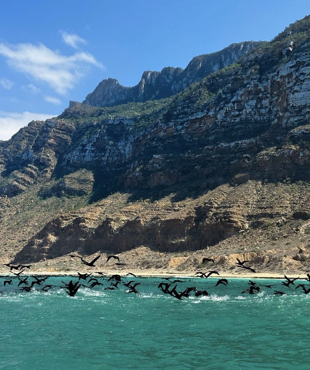 Wings over water, Bari Mountains #Somalia #Puntland