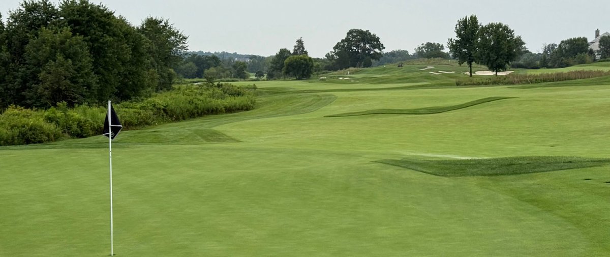 Predict N7 tweet media