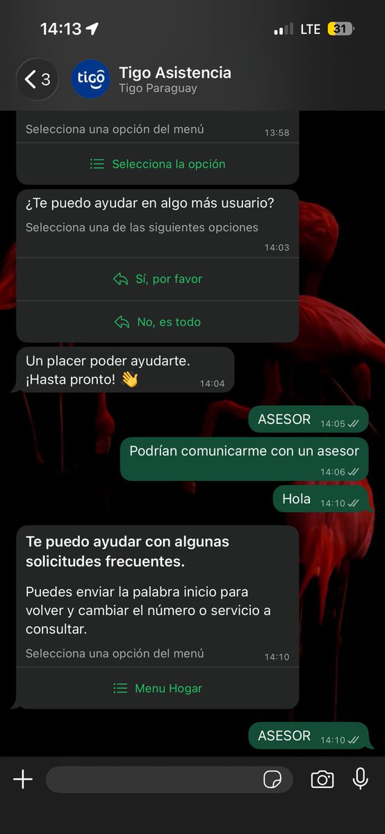 rojasale012's tweet photo. @TigoParaguay Y si no responde nada en asesor que hago? Sigo esperando como pelotudo? Acá en x responden más que en WhatsApp https://t.co/bgCLfLzbB1