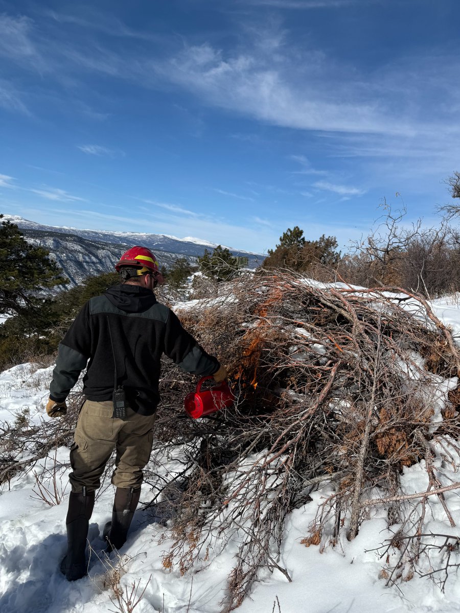 SW Colorado Fire tweet media