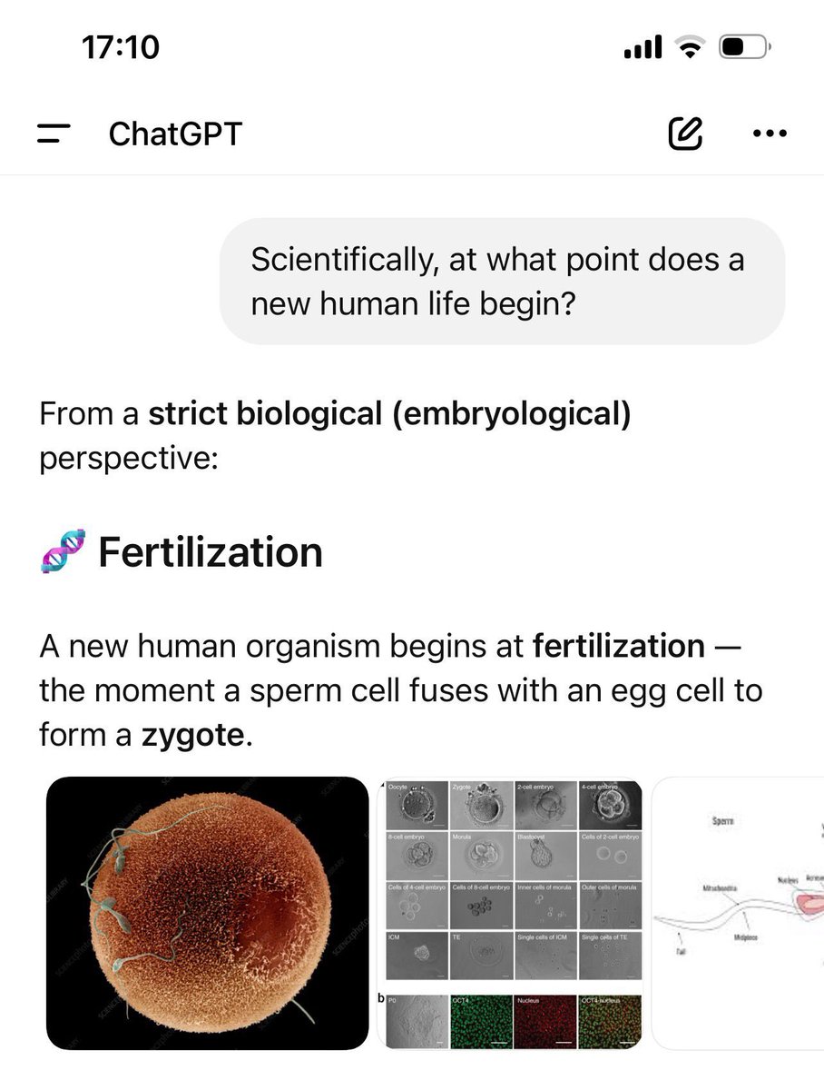 Abortion Resistance tweet media