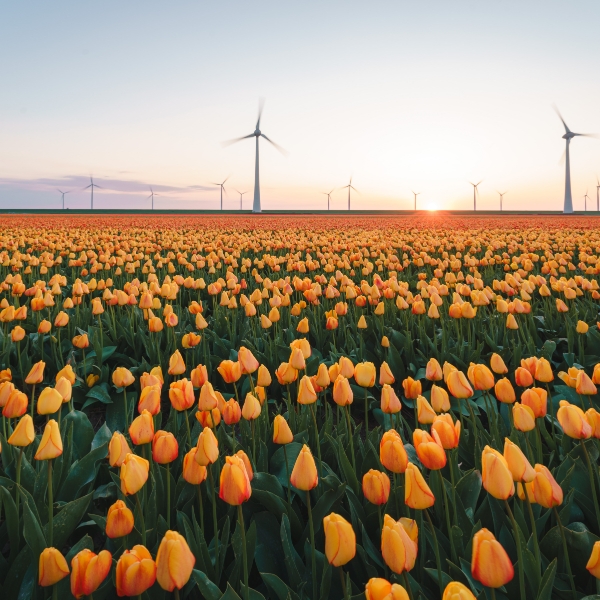 easyGroup, the easy family of brands tweet media