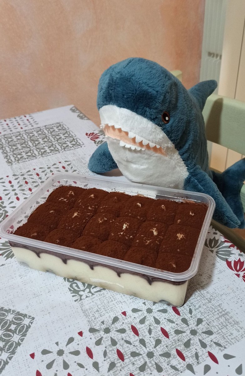 Human, it’s been a long week, but tiramisu will give you the strength to make it to the weekend! 
Hang in there!

#IKEAのサメ #ikeashark #stuffedtoy #blåhaj #brioches #italy #peluches #stuffedanimals #blahaj #homesweethome #lasagna #tiramisu #friday #weekend