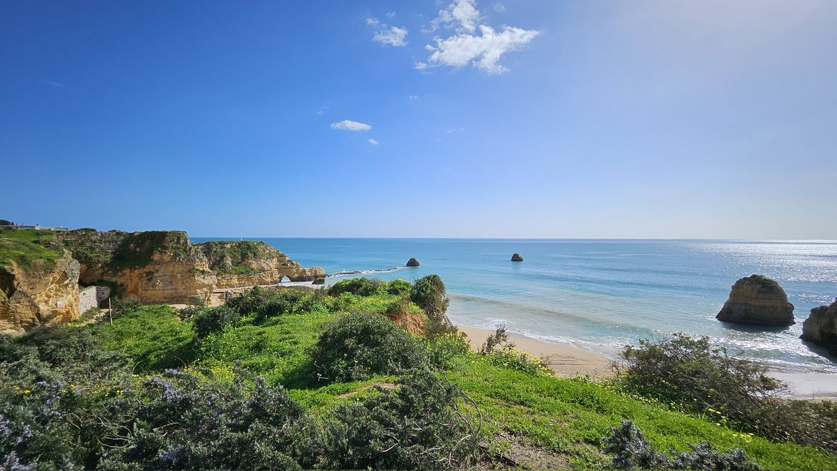 Trevor Jones 🎨 tweet media