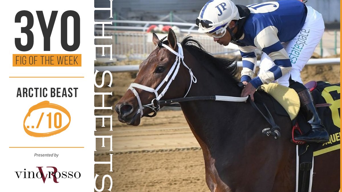 Ragozin Sheets tweet media