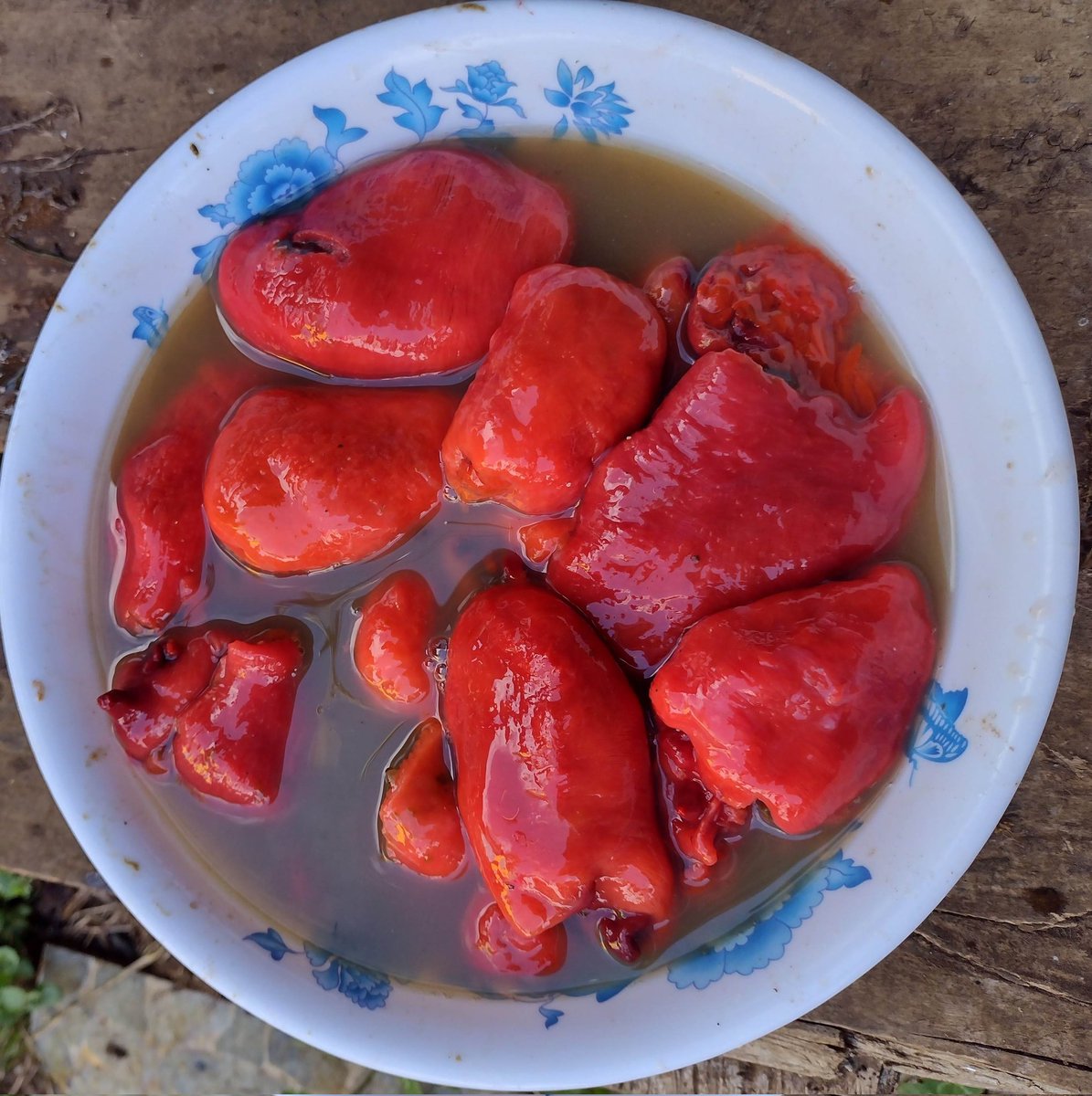 Crishonline's tweet photo. Una de las bondades del sur, es comer mariscos regalados, directo de sus conchas 😋😋😋
#Piures #Picorocos https://t.co/T5mTzmxuSj