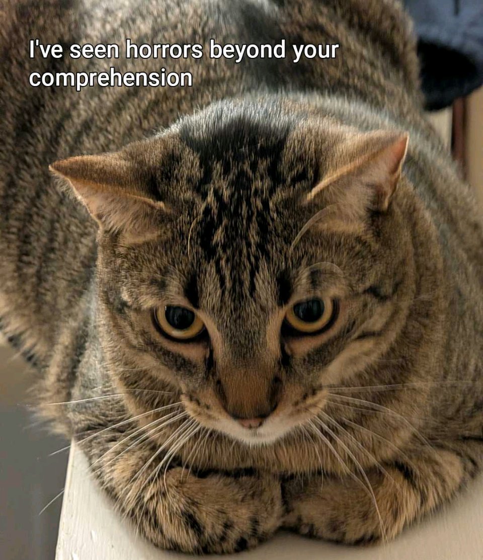 Orbital 380mm HE Barrage tweet media