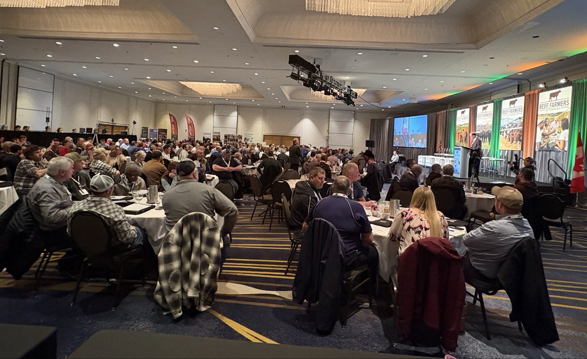 Beef Farmers of Ontario tweet media