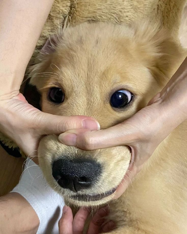 iti malias (@itimaliasof) on Twitter photo 