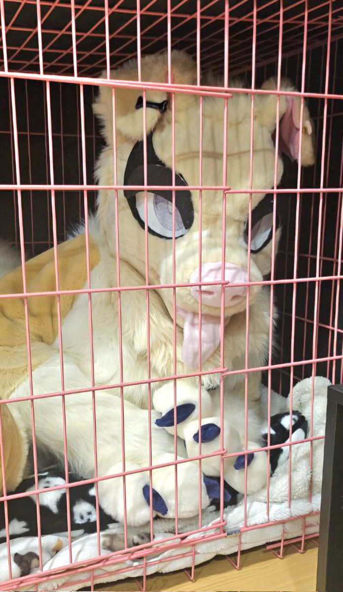 Oliver AD 🔞 tweet media