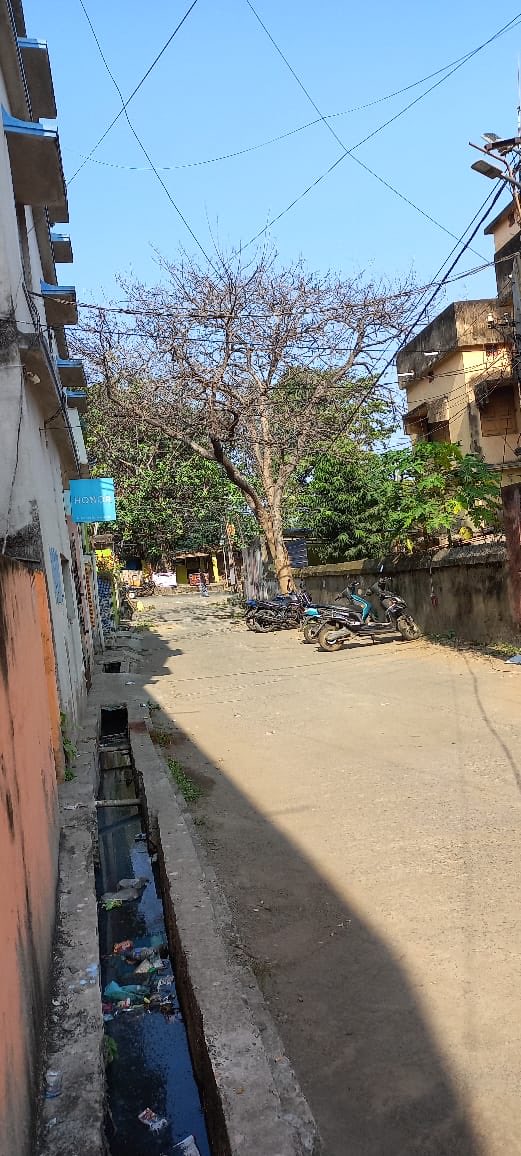 rabidash's tweet photo. @SMC_Sambalpur Urgent request to the concerned authorities: A completely dried and weakened tree in Lane No. 1, Jagannath Colony is posing a serious safety hazard to residents and pedestrians. Kindly arrange immediate inspection and safe removal before any accident occurs. https://t.co/nYKtvKlvZR