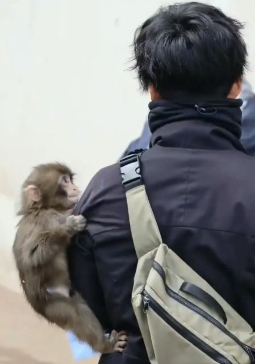 ที่มาของคำว่าเกาะเป็นลิงเลย แล้วดูทำหน้าดิ 😭😭😭