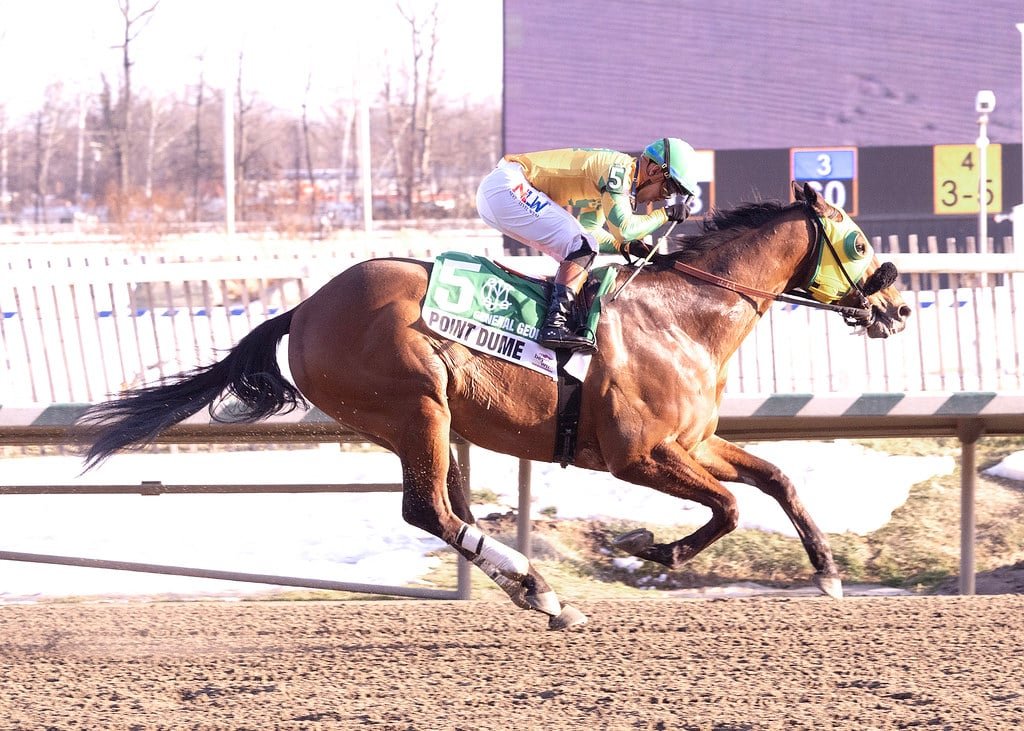 Racing Stats & Info tweet media