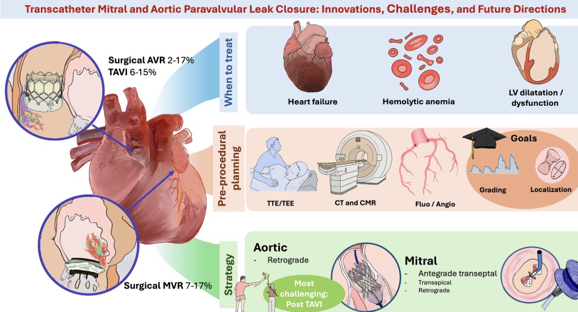 Andrea Ruberti tweet media