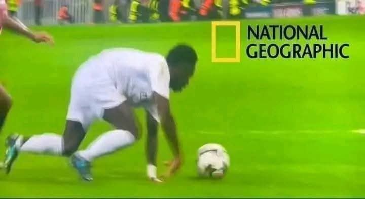 Leandro Souza tweet media