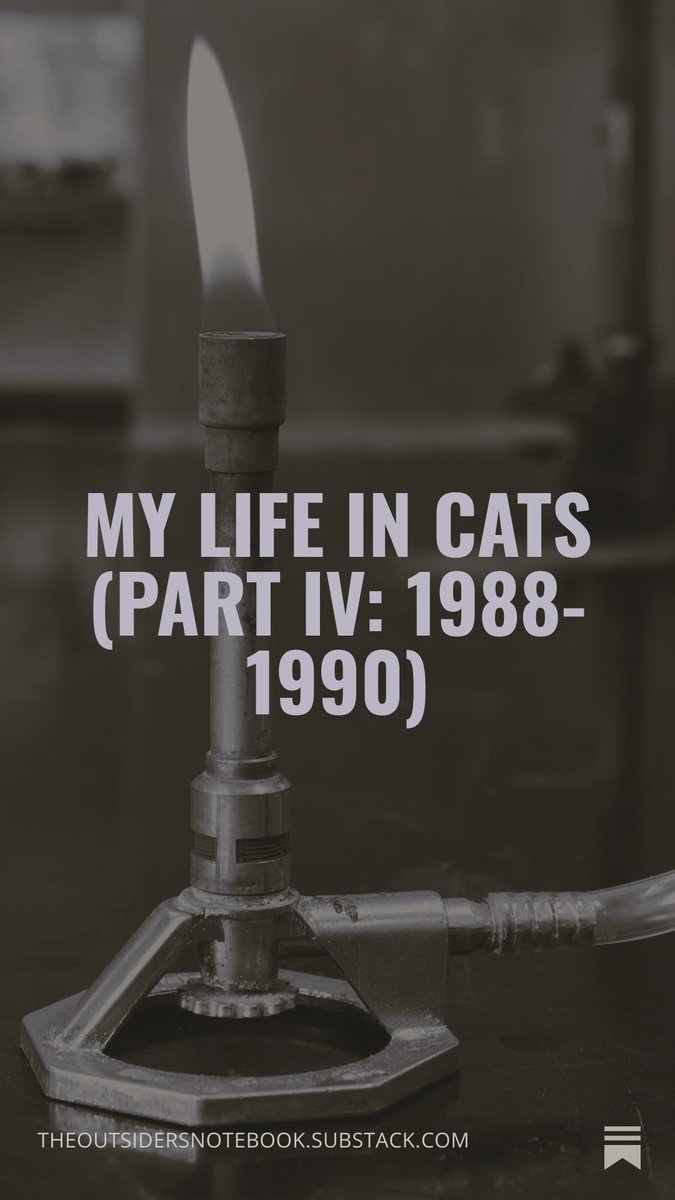 SimonJHoulton tweet media