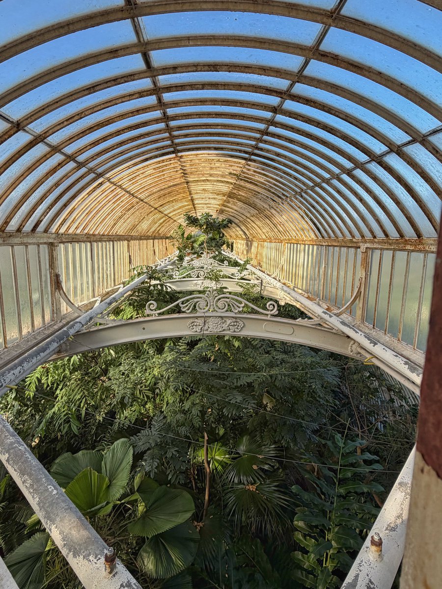The Palm House greenhouse built 175 years ago at Kew Gardens 🌱🍃🪴