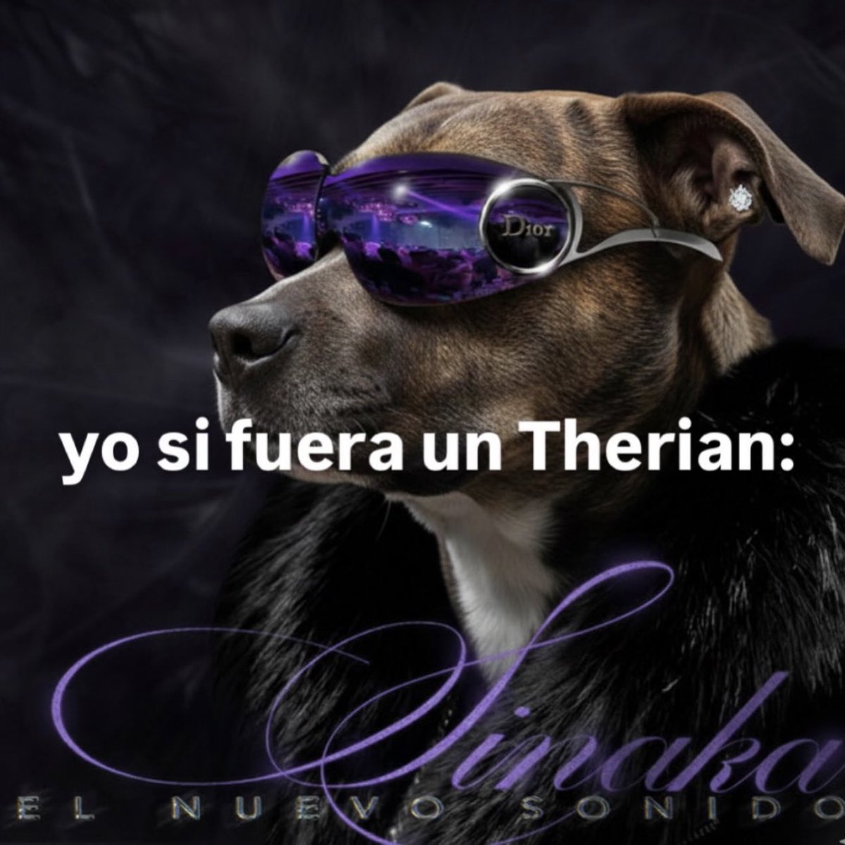 Rayquasa (@rayquasa111) on Twitter photo 