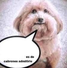 sol (@solmareaa) on Twitter photo 