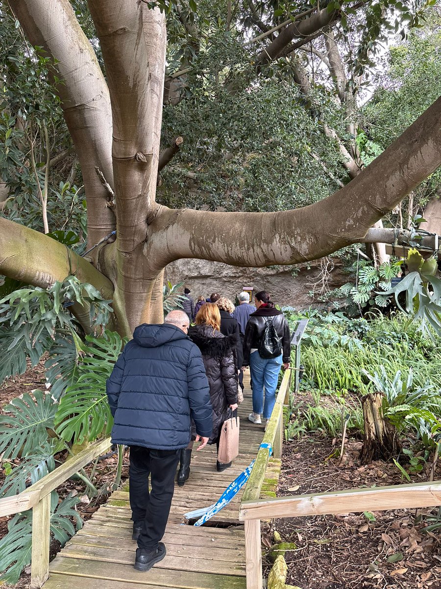 AcliCagliari's tweet photo. Oggi così: Passeggiata all'Orto Botanico.
Progetto Genti de BIxinau https://t.co/EDOg6CFZcK