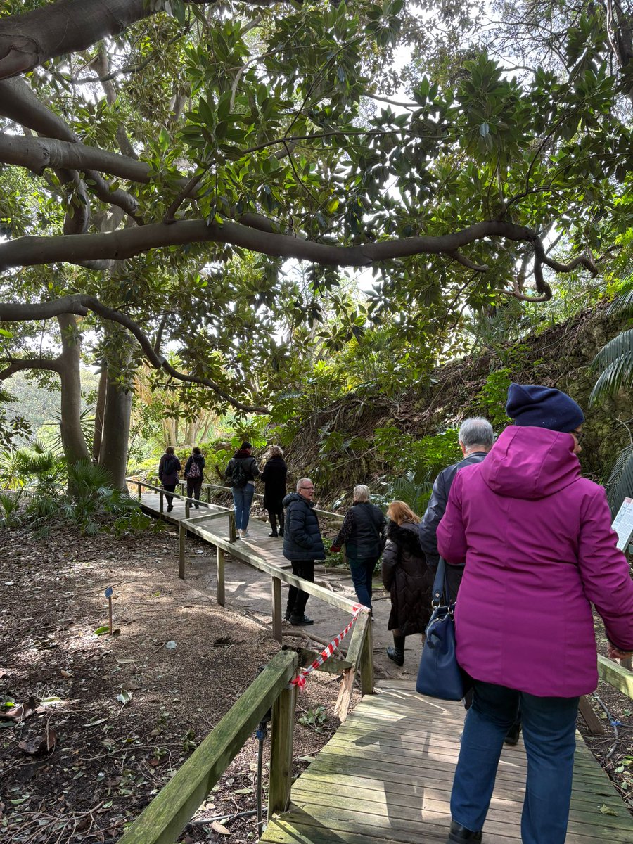 AcliCagliari's tweet photo. Oggi così: Passeggiata all'Orto Botanico.
Progetto Genti de BIxinau https://t.co/EDOg6CFZcK