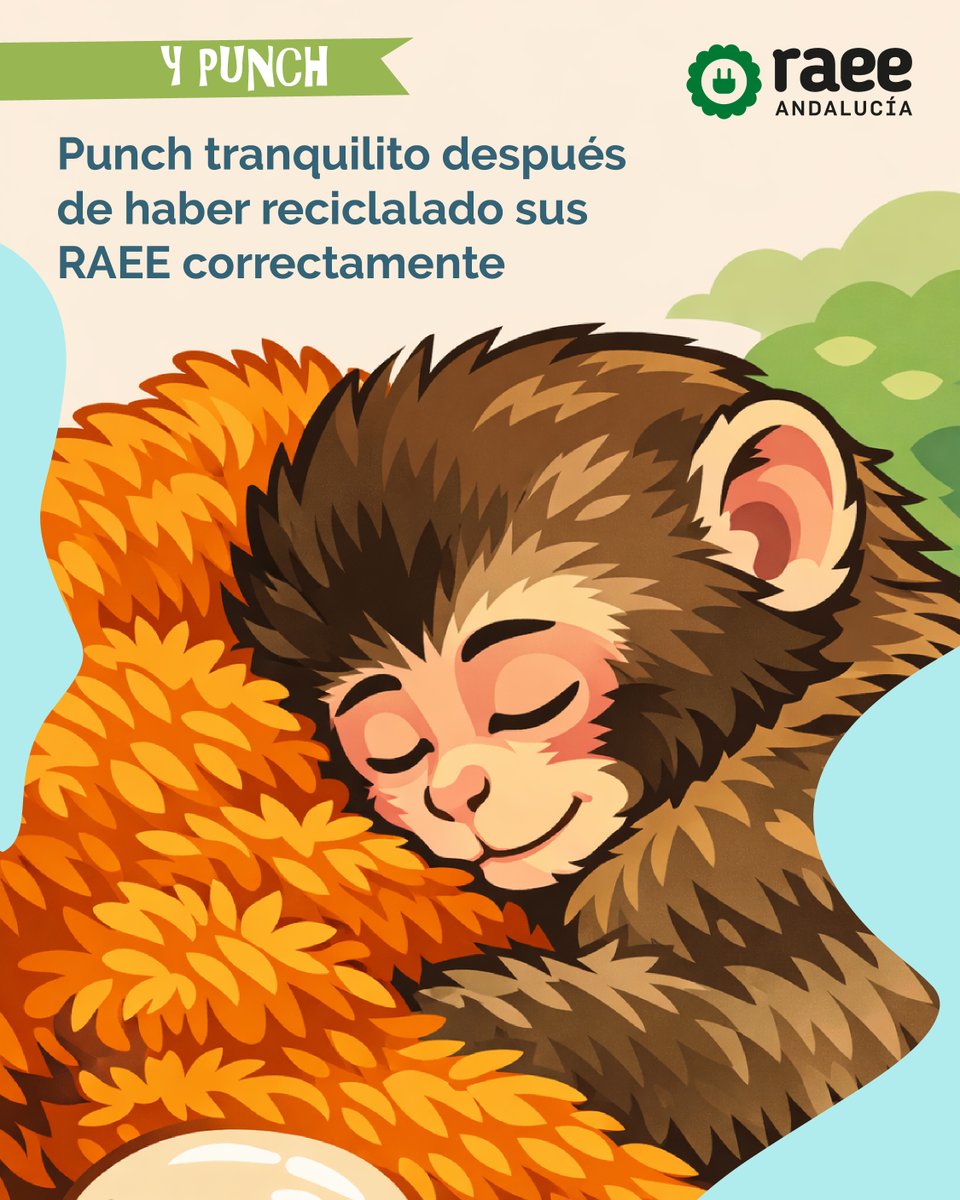 RAEEAndalucia's tweet image. Si me lo dice Punch voy al punto limpio más lejano💘🥺

#RAEEAndalucía #ReciclajeResponsable #EconomíaCircular