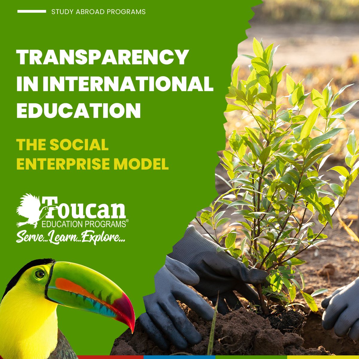 Toucan Education Programs tweet media